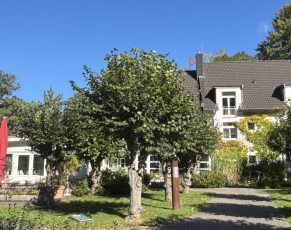 Portfolio Image